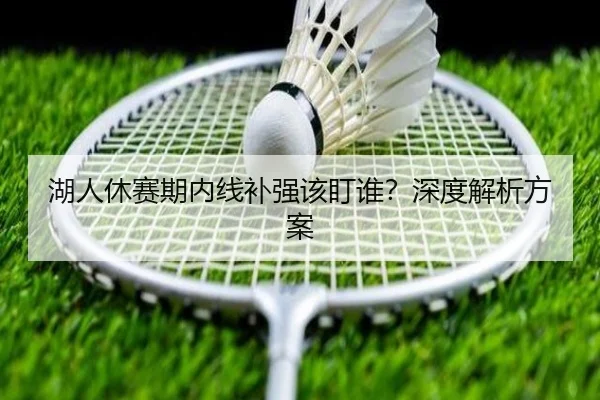 湖人休赛期内线补强该盯谁？深度解析方案